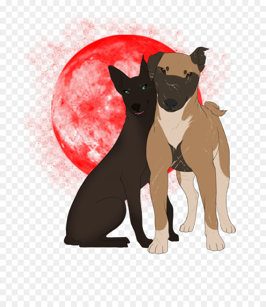 Anjing Berkembang Biak，Boston Terrier PNG