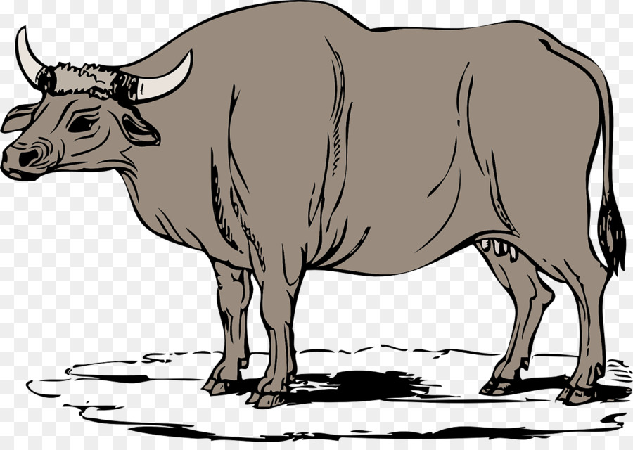 Sapi，Ternak PNG