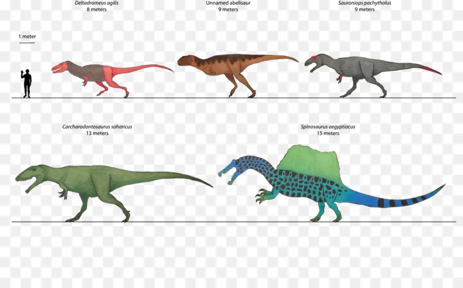 Perbandingan Dinosaurus，Dinosaurus PNG