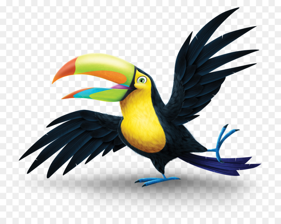 Burung Toucan，Berwarna Warni PNG