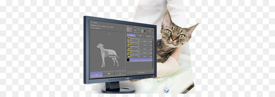 Kucing Dan Monitor，Dokter Hewan PNG