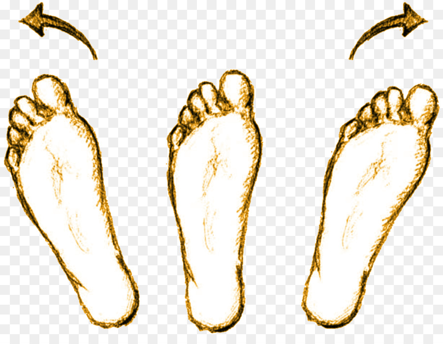 Latihan Kaki，Kaki PNG