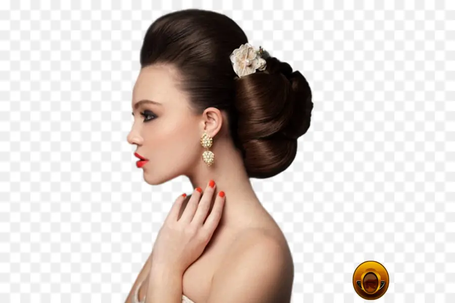 Gaya Rambut，Updo PNG