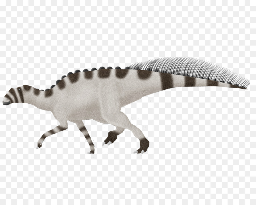 Dinosaurus，Prasejarah PNG