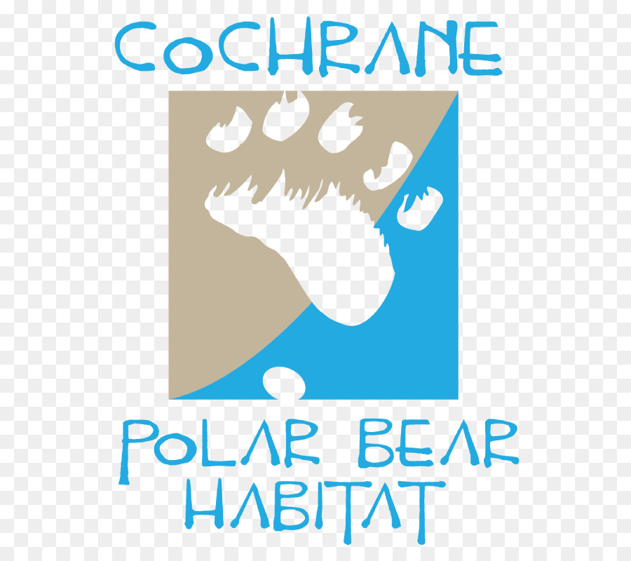 Cochrane Habitat Beruang Kutub，Beruang Kutub PNG