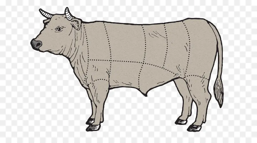 Diagram Sapi，Potongan Daging Sapi PNG