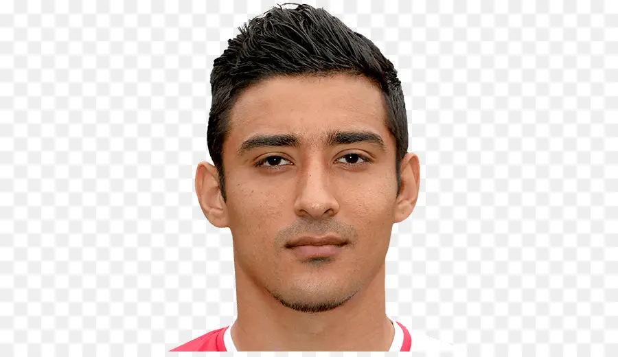 Reza Ghanknejhad，Fifa 14 PNG