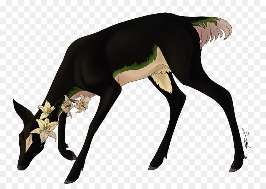 Canidae，Anjing PNG