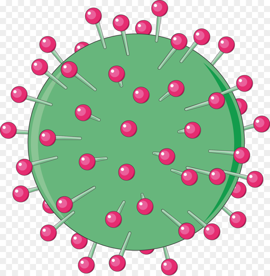 Virus Hepatitis，Virus PNG