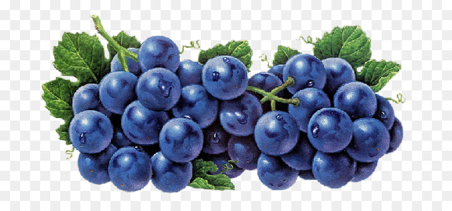 Blueberry，Buah Beri PNG