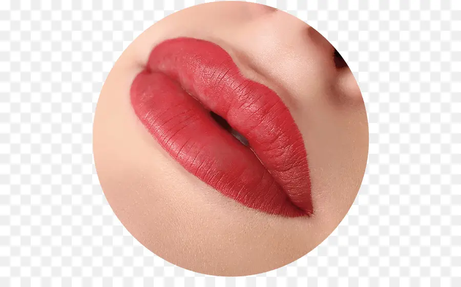 Bibir，Lipstik PNG