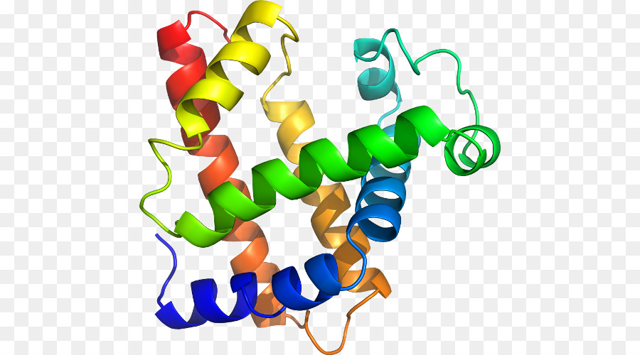 Struktur Protein，Biologi PNG