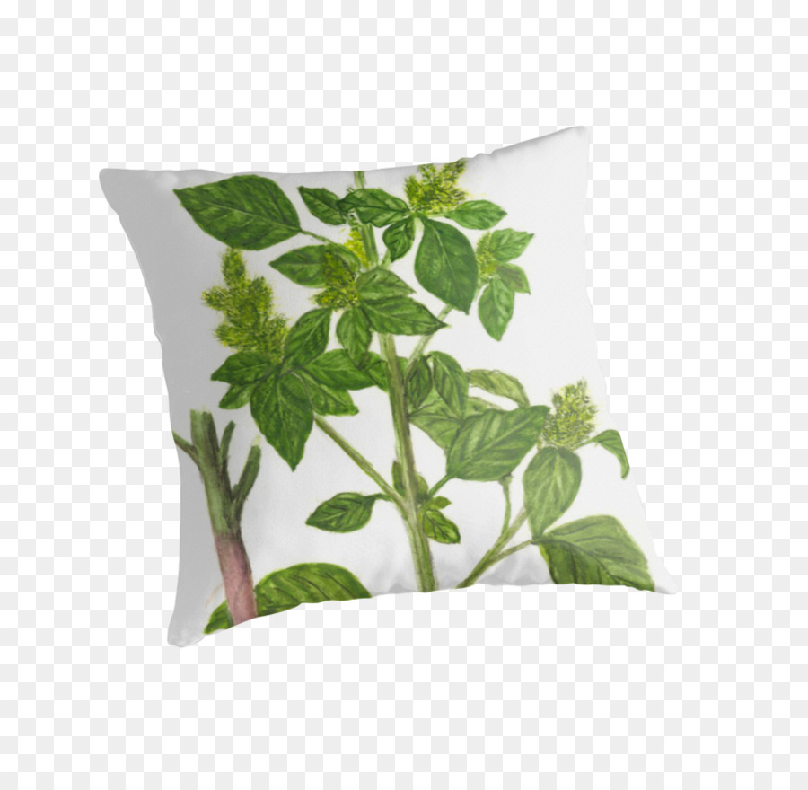 Bantal，Daun PNG