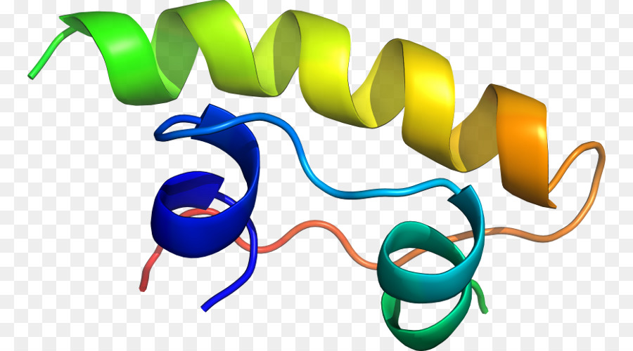 Heliks Protein，Molekul PNG