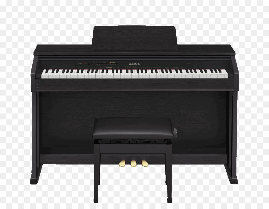 Piano Digital，Casio PNG