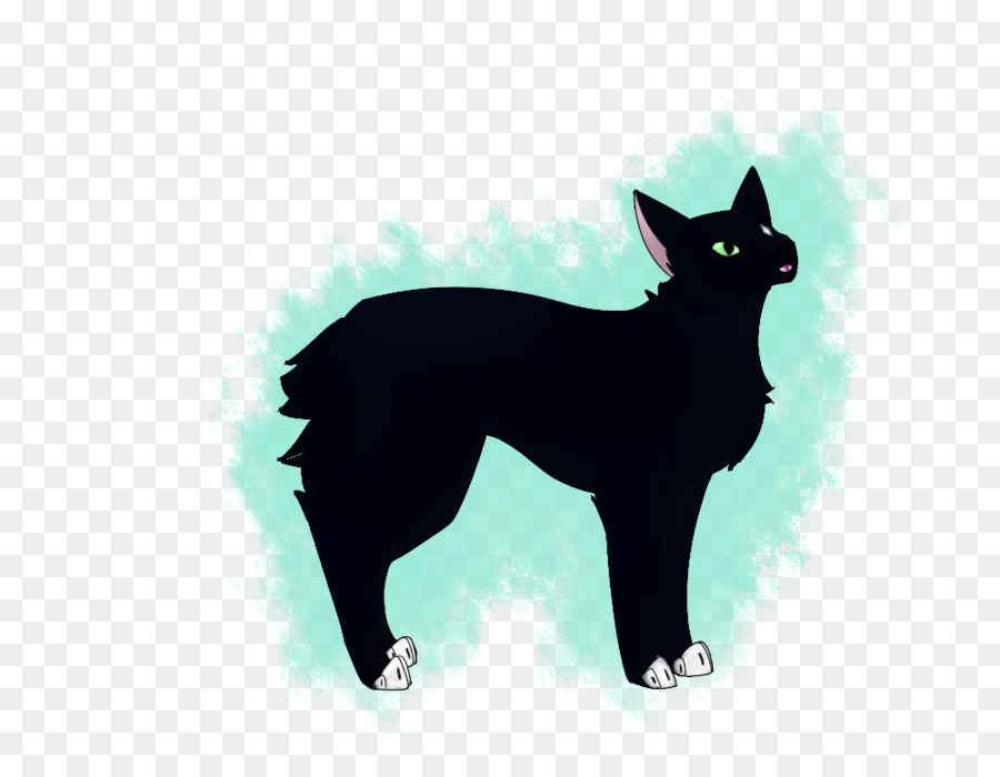 Schipperke，Kucing Bombay PNG