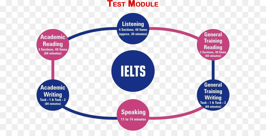 Internasional English Language Testing System，Bahasa Inggris PNG