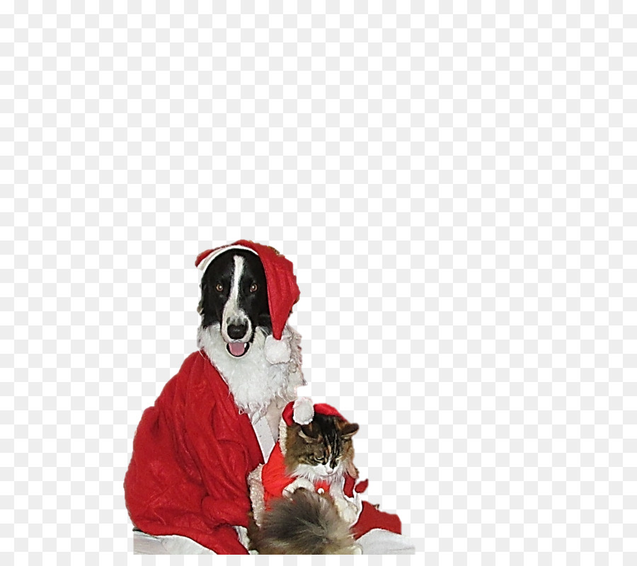 Anjing Berkembang Biak，Santa Claus PNG