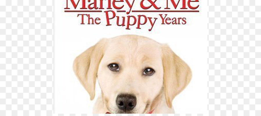 Anjing，Marley Saya Hidup Dan Cinta Dengan Anjing Terburuk Di Dunia PNG