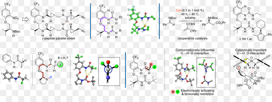 Enantioselective Sintesis，Kimia Organik PNG