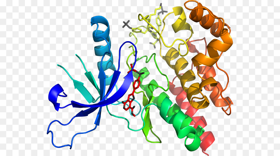 Struktur Protein，Molekul PNG