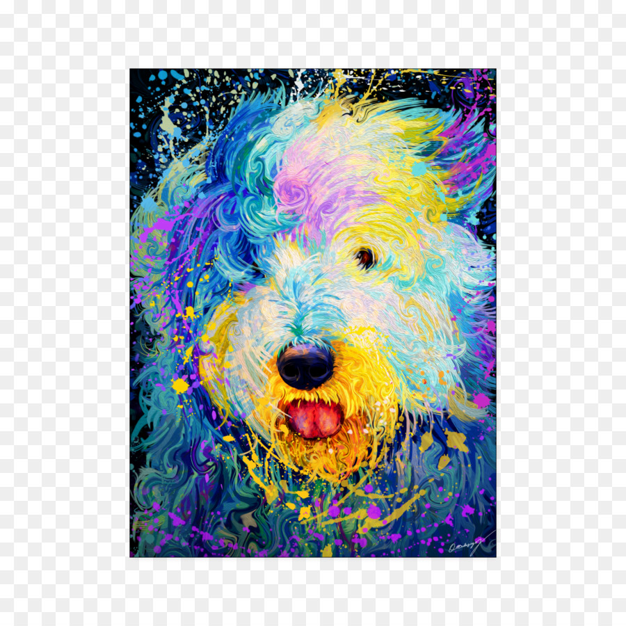 Schnoodle，Seni Modern PNG