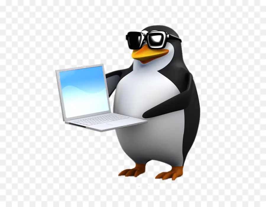 Penguin Dengan Laptop，Penguin PNG