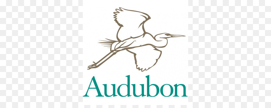 Lembaga Nasional Audubon，Burung PNG