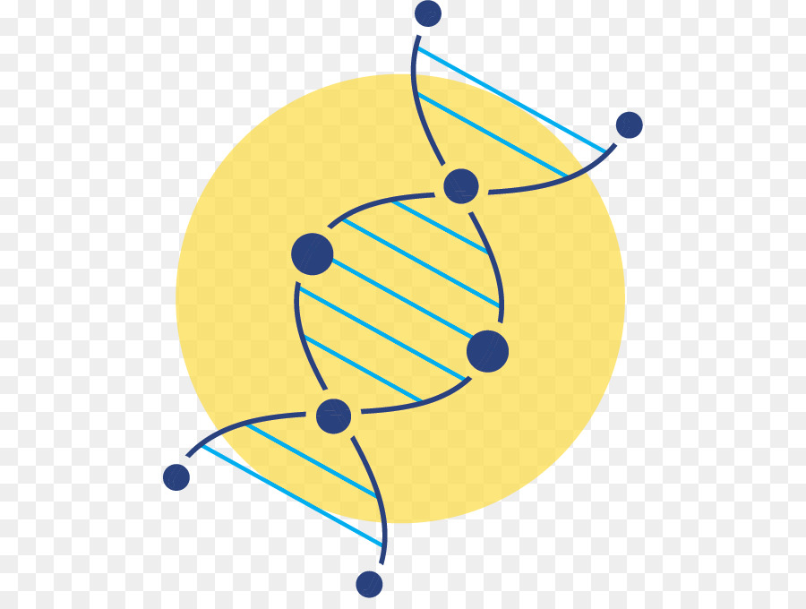 Dna，Genetika PNG