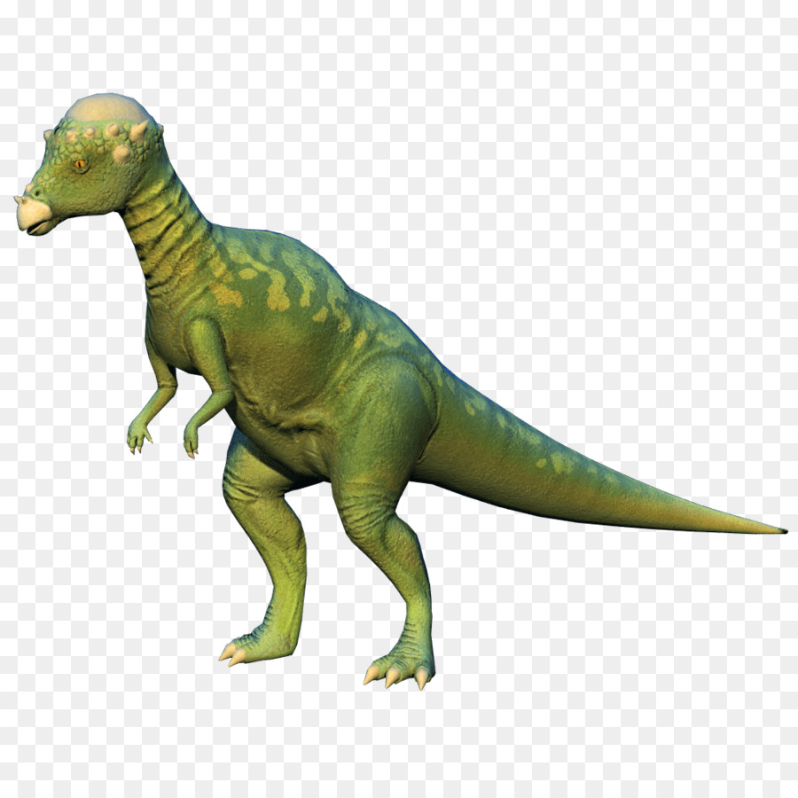 Tyrannosaurus，Velociraptor PNG