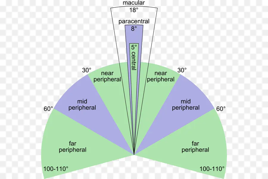 Grafik Bidang Visual，Penglihatan PNG