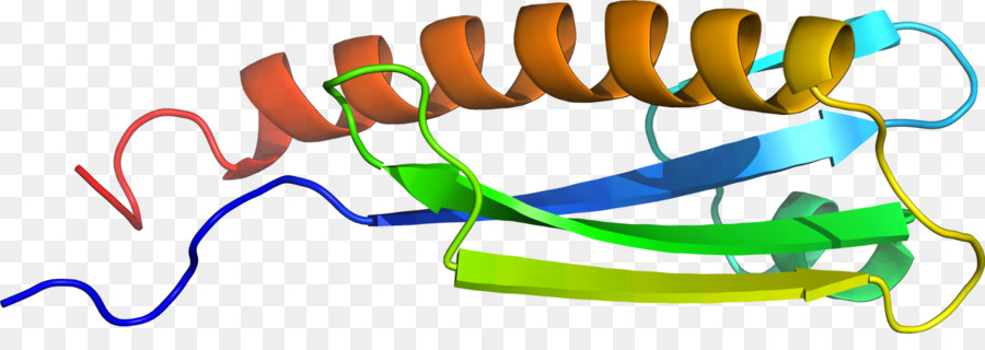 Heliks Protein，Molekul PNG