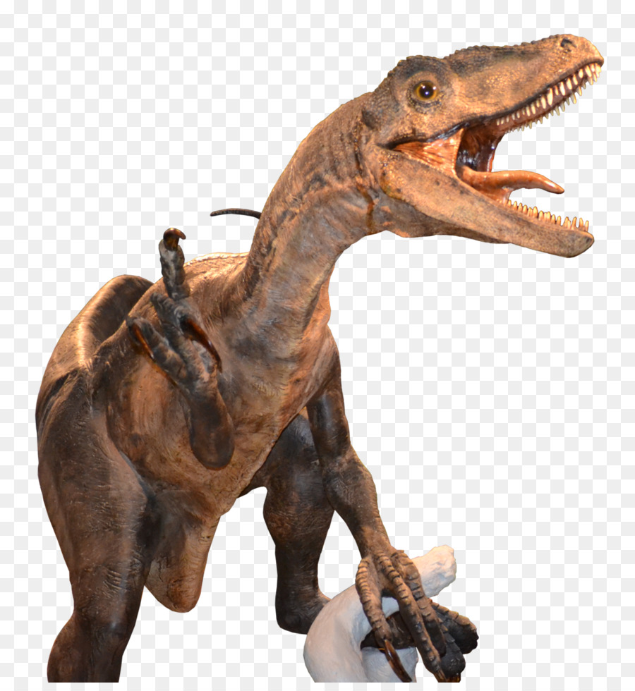 Dinosaurus，Prasejarah PNG