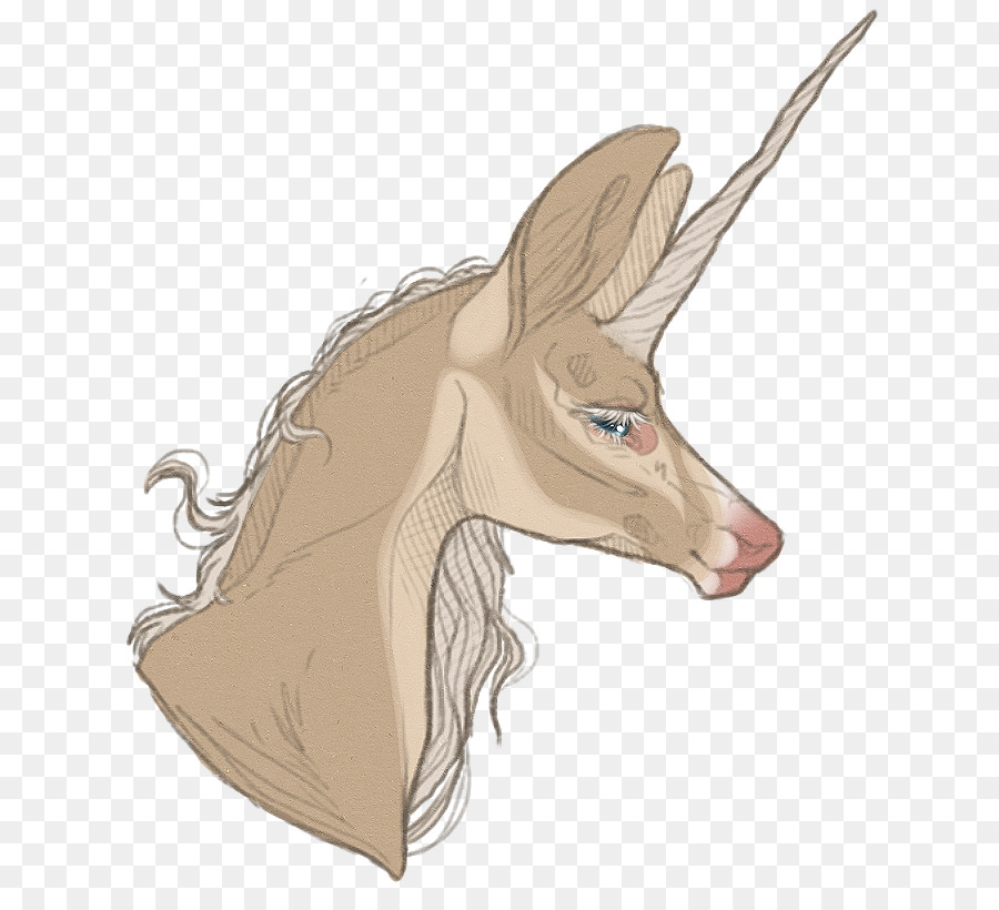 Rusa，Kuda PNG