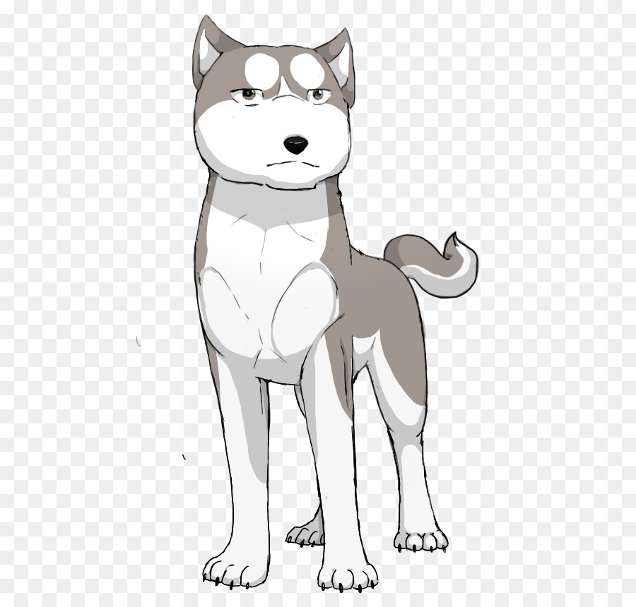 Siberian Husky，Kumis PNG