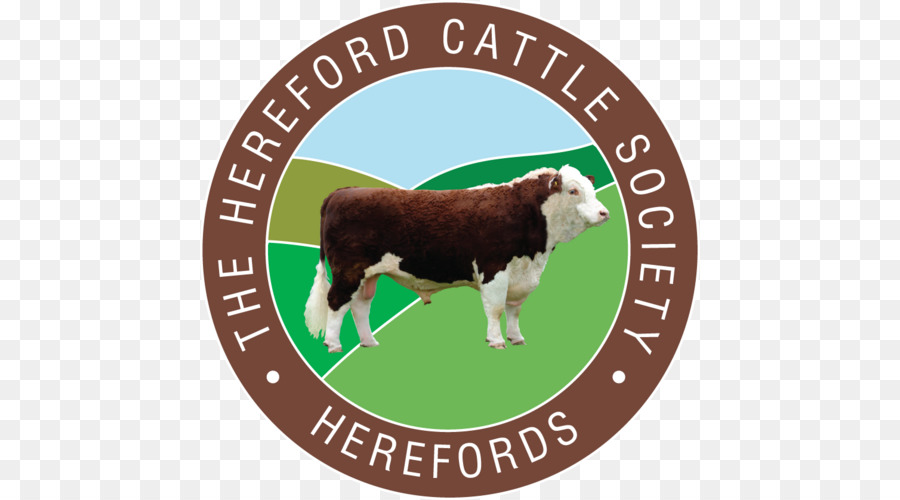 Hereford Sapi，Hereford Sapi Masyarakat PNG