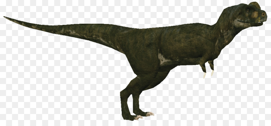 Dinosaurus，Reptil PNG