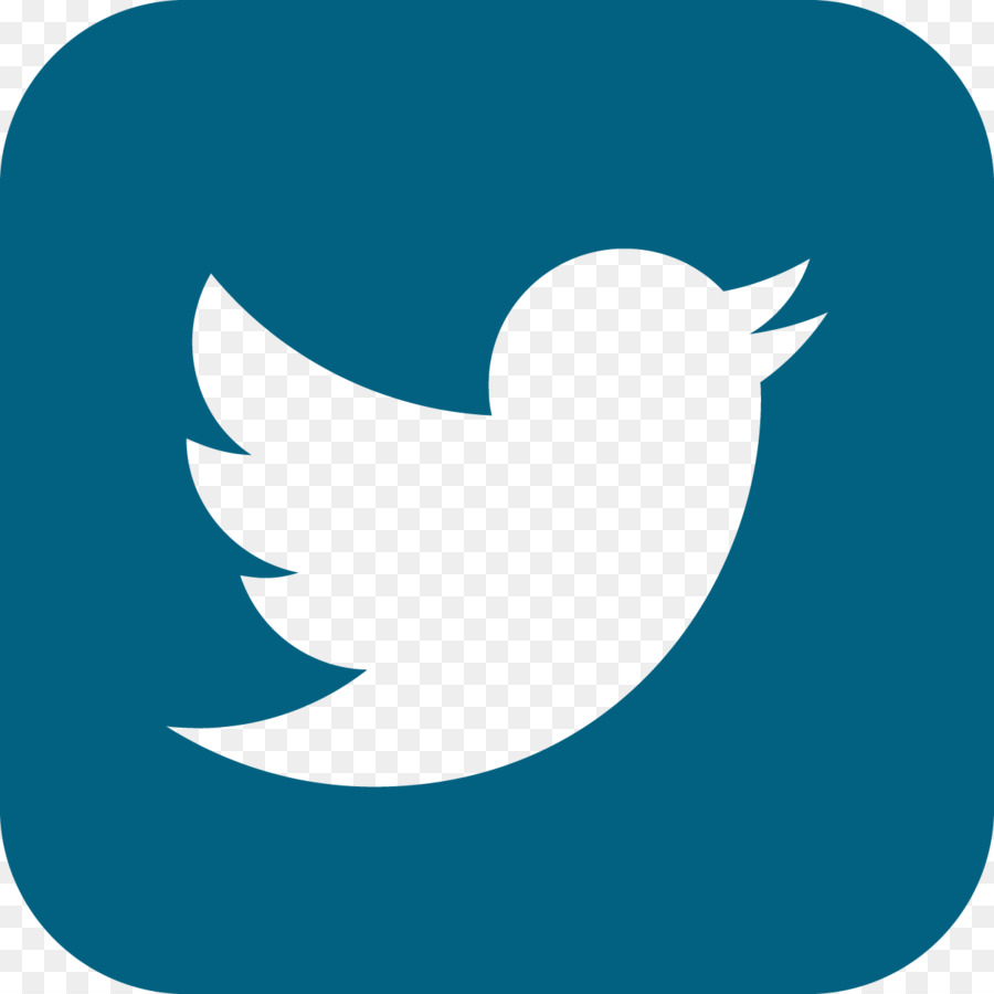 Logo Twitter，Burung PNG