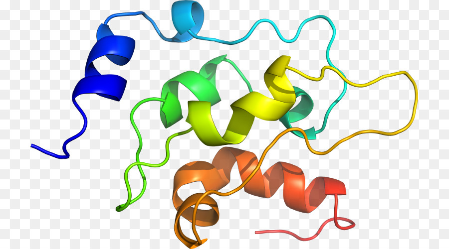 Heliks Protein，Molekul PNG