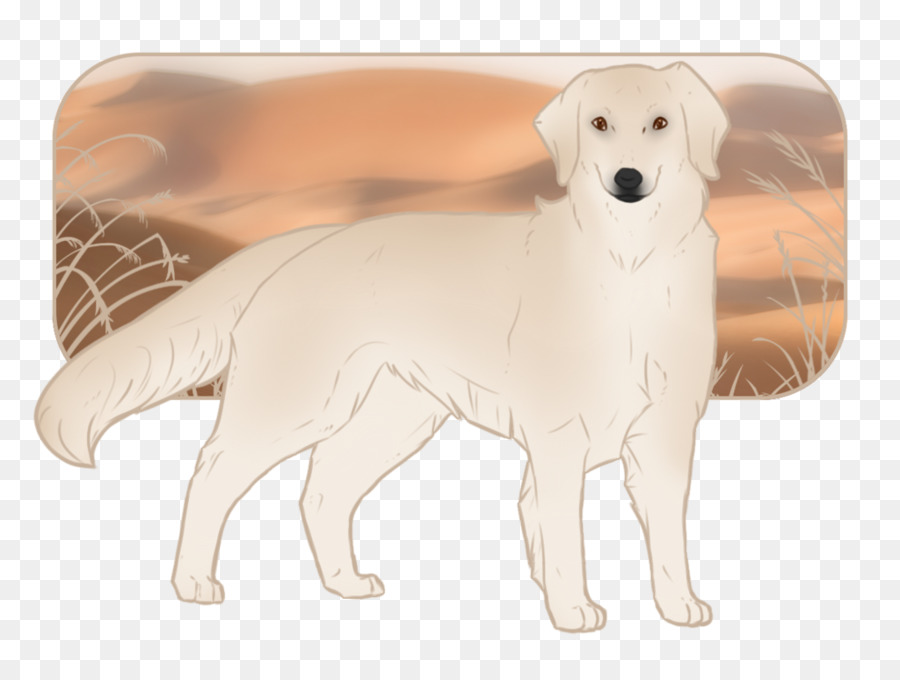 Golden Retriever，Labrador Retriever PNG