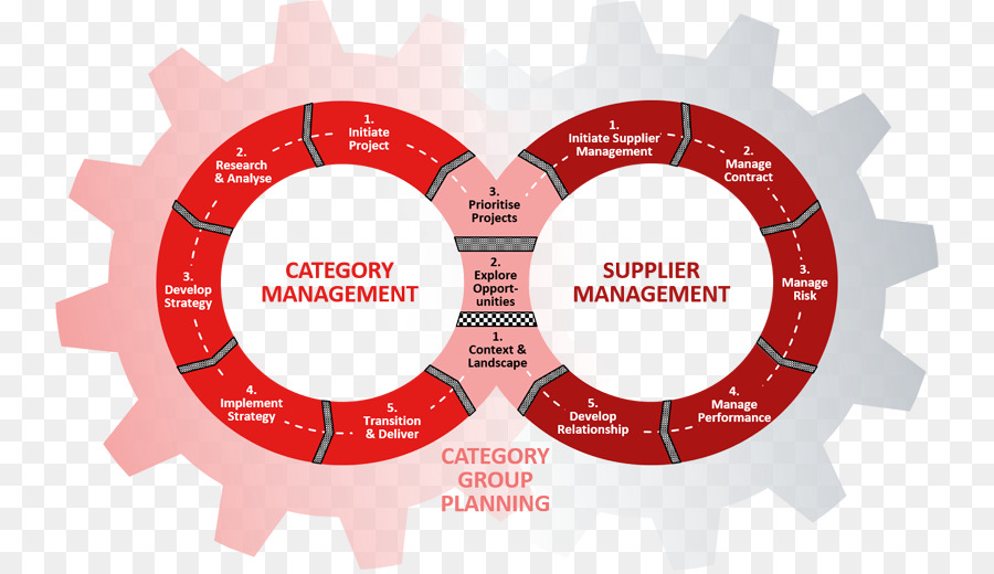 Manajemen Kategori Dan Manajemen Pemasok，Perencanaan PNG