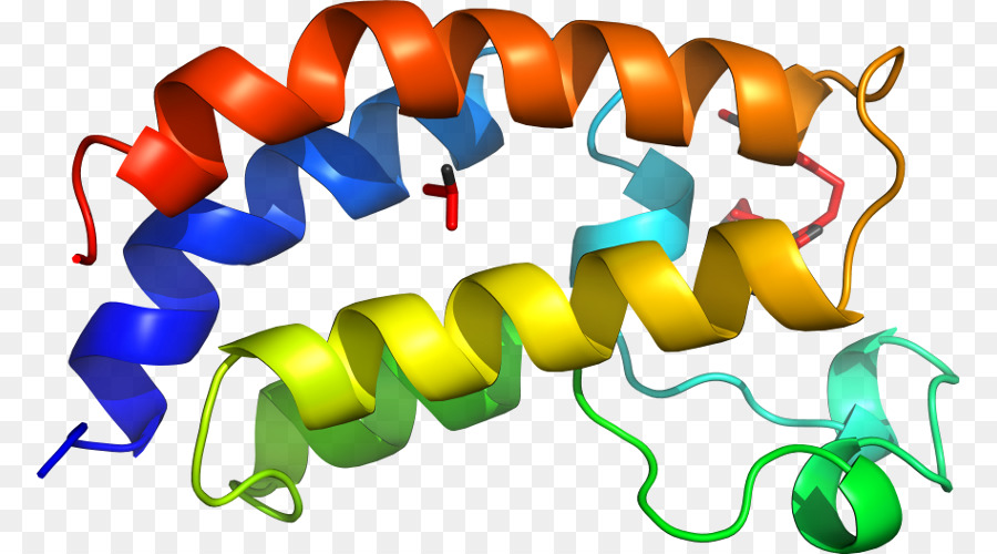 Heliks Protein，Molekul PNG