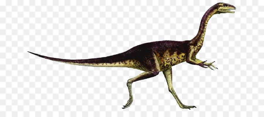 Dinosaurus，Prasejarah PNG