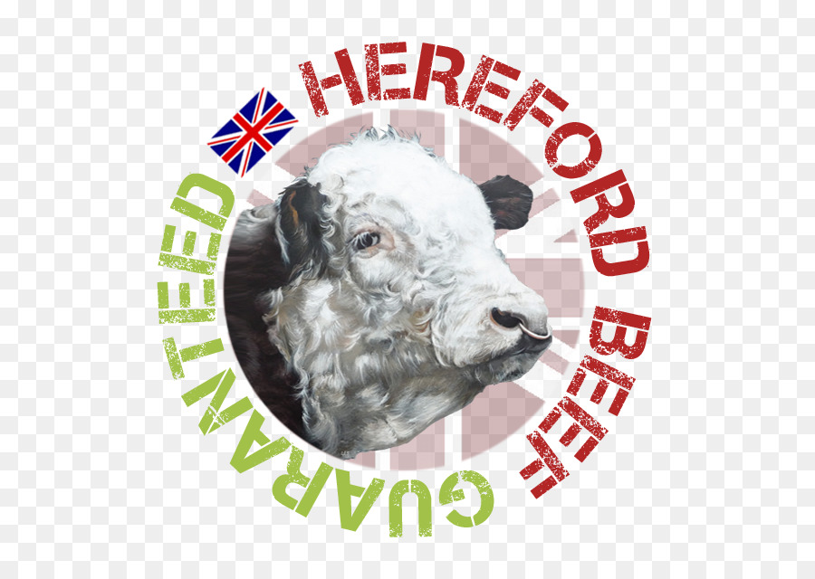 Hereford Sapi，Sapi Potong PNG