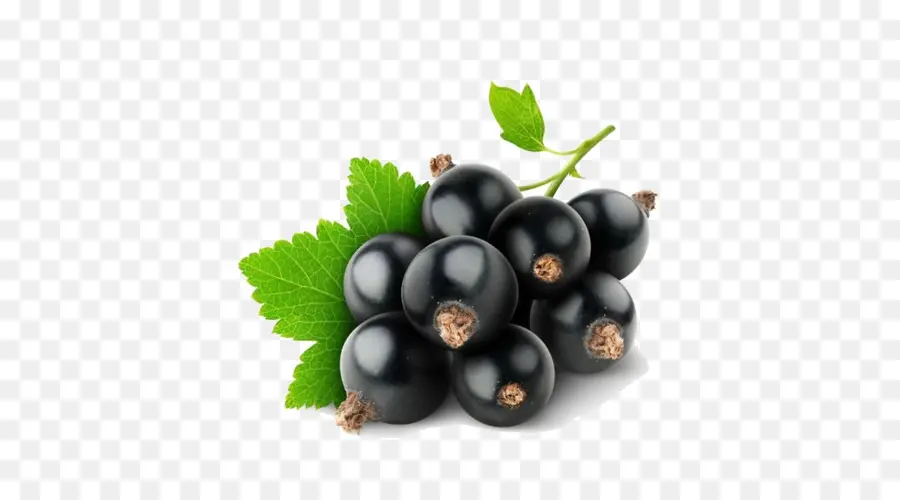 Blackberry，Buah Beri PNG