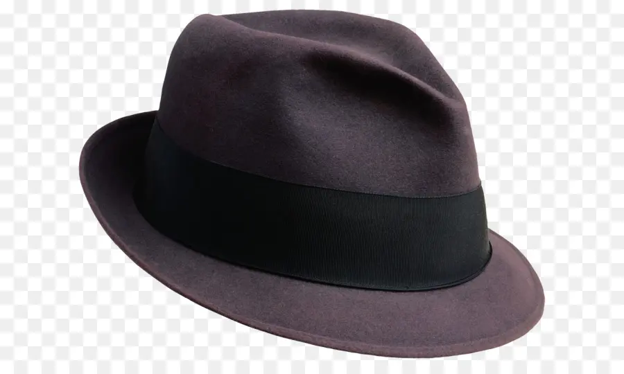 Fedora，Topi PNG