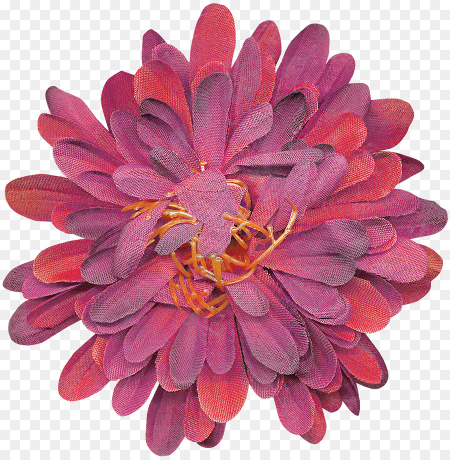 Krisan，Dahlia PNG