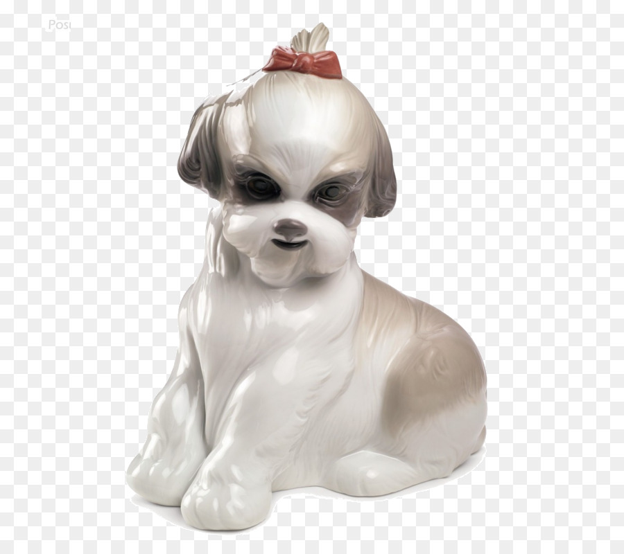 Anjing Berkembang Biak，Shih Tzu PNG