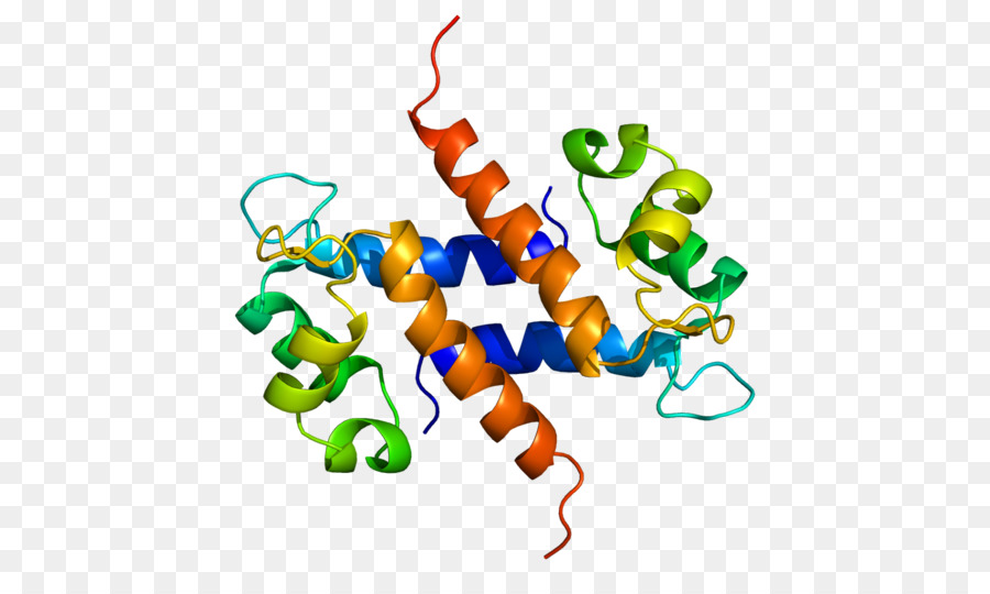 S100a8，Protein PNG