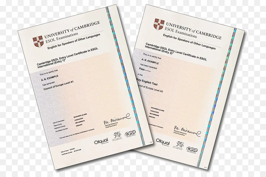 Sertifikat Cambridge，Diploma PNG